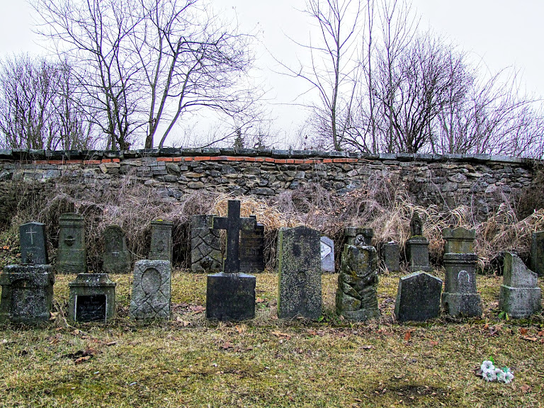 DSCF2842